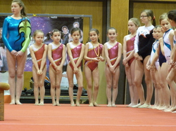 Provincial D1-4-5 et JG - 2013