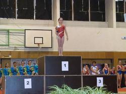 Provincial D1-4-5 et JG - 2013